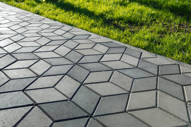 Best Driveway Paving Near Me  in Hollister, MO