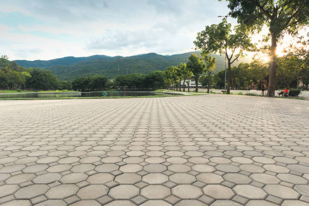 Best Interlocking Driveway Pavers  in Hollister, MO