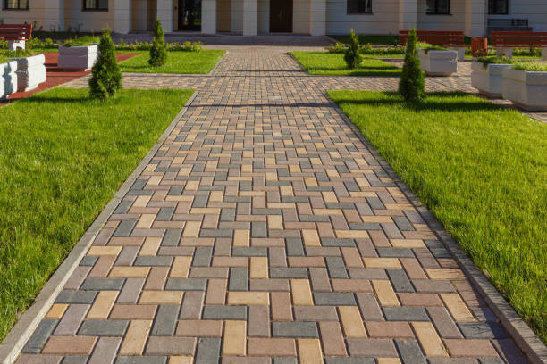Best Local Driveway Pavers  in Hollister, MO